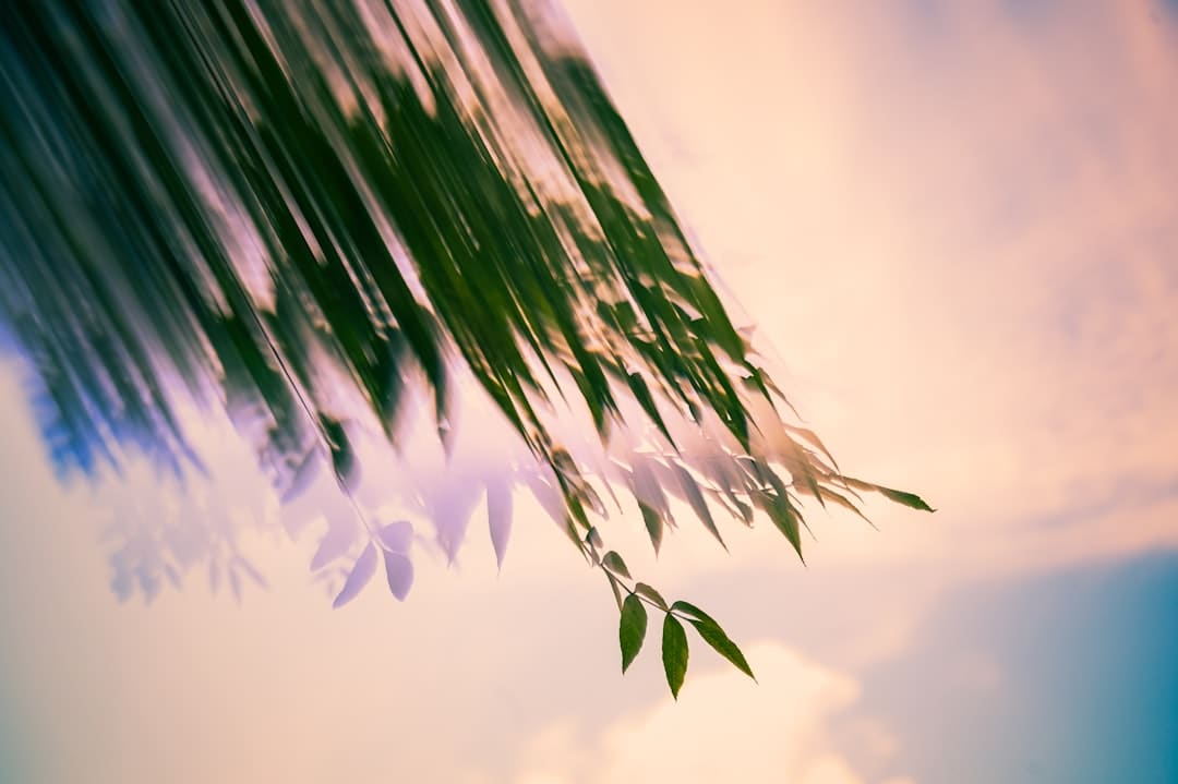 第一人称回忆熊市狂赚50亿达利欧的终身